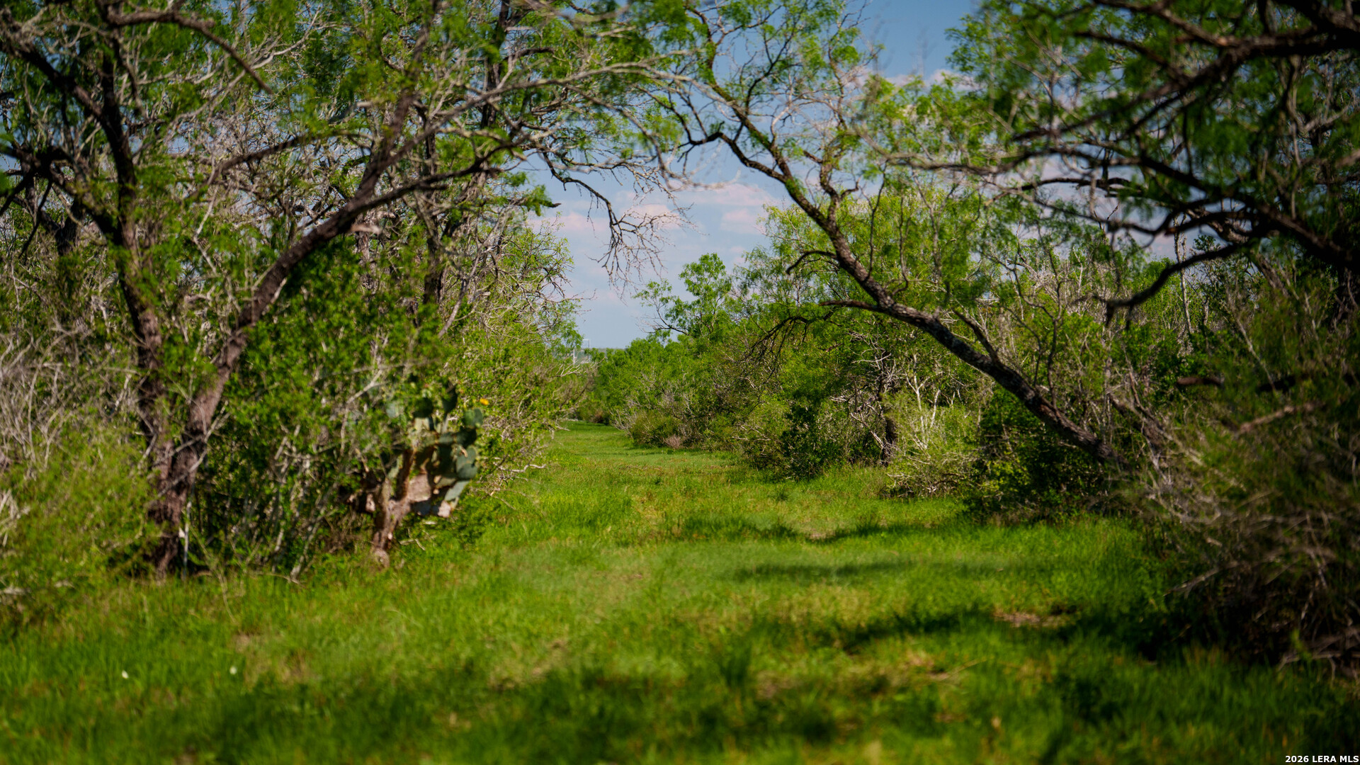 422 F.m. 791 Campbellton TX 78008