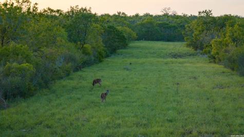 422 F.m. 791 Campbellton TX 78008