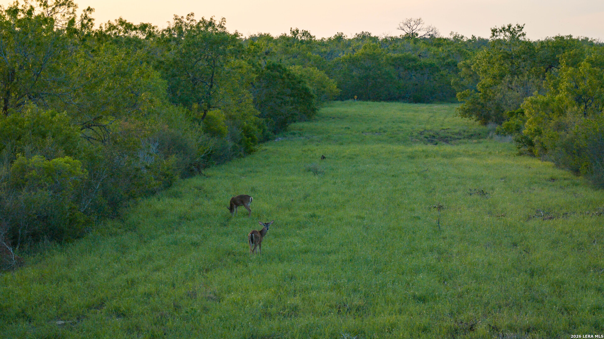 422 F.m. 791 Campbellton TX 78008