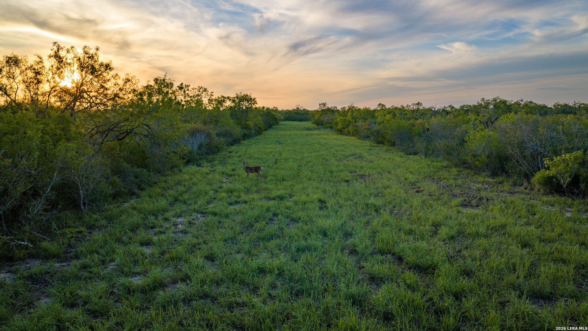 422 F.m. 791 Campbellton TX 78008
