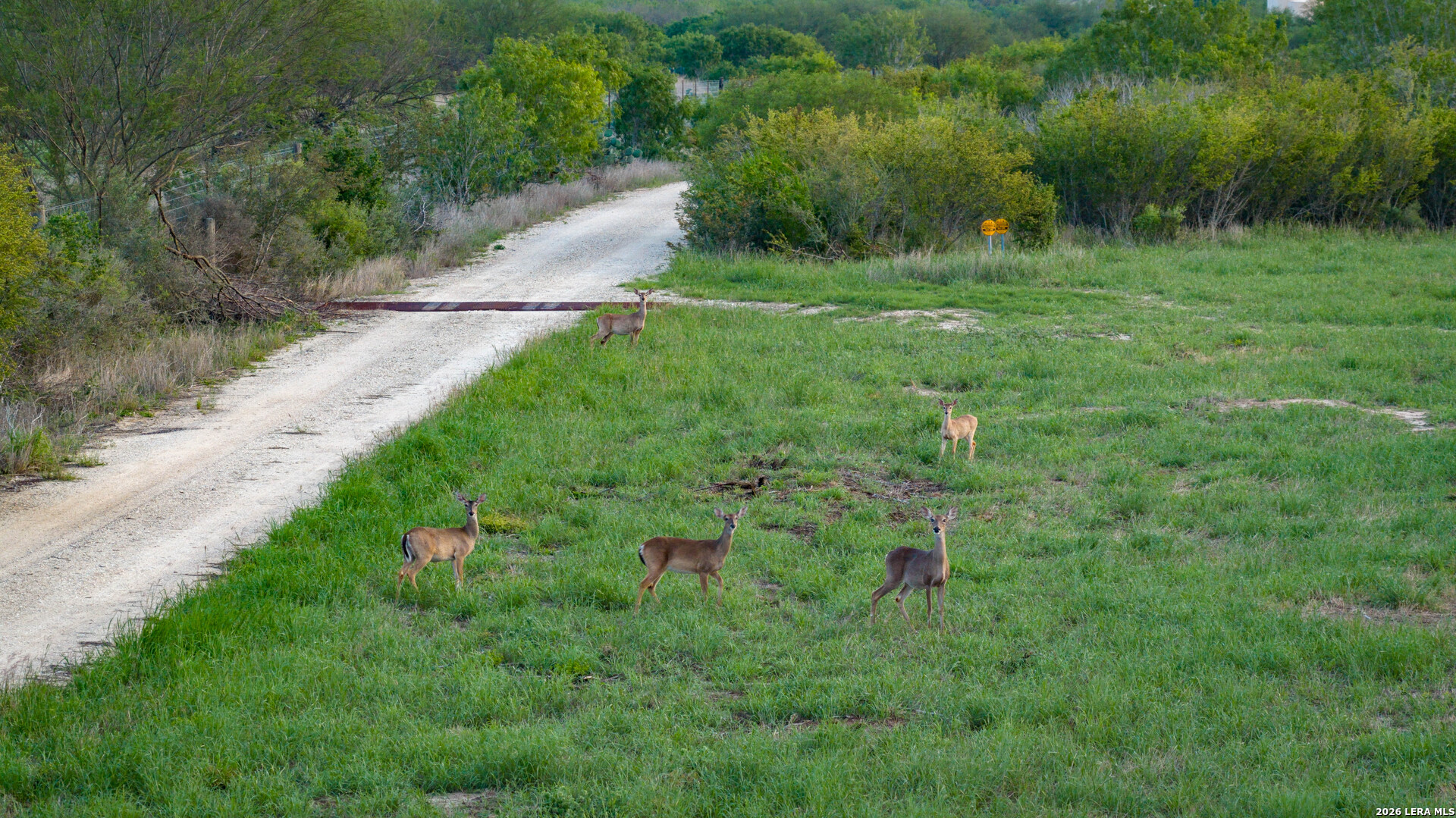 422 F.m. 791 Campbellton TX 78008