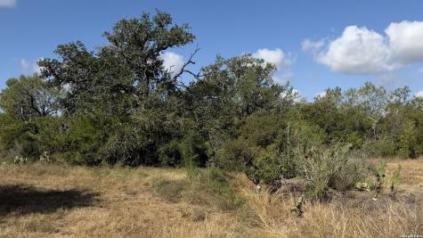 759 County Road 248 Falls City TX 78113