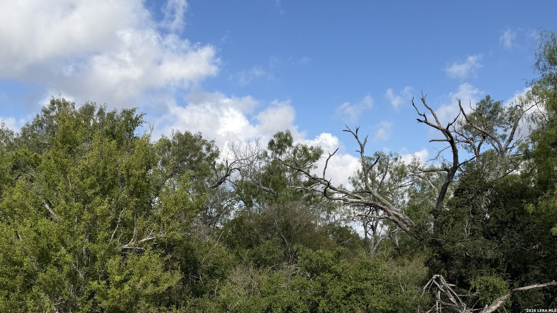 759 County Road 248 Falls City TX 78113