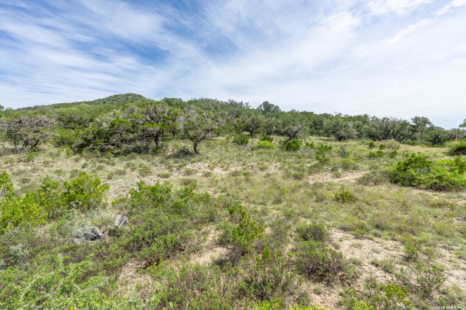 447 Blesssing Lane Utopia TX 78884