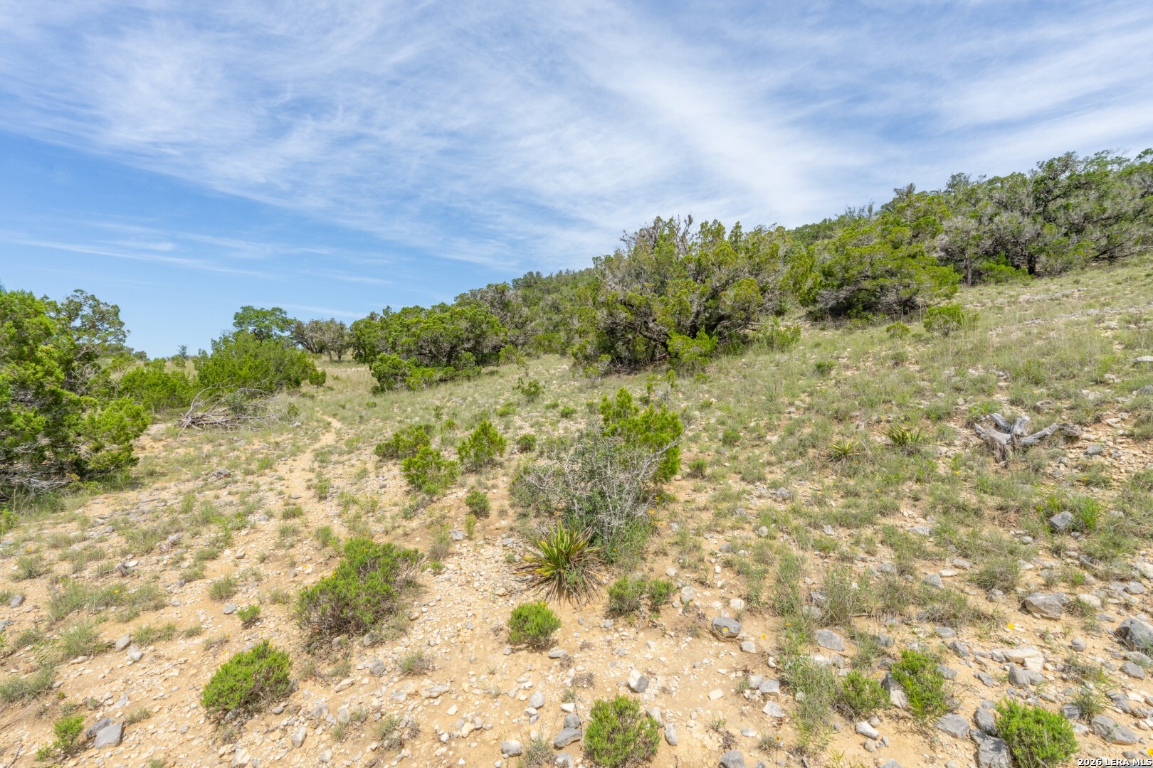 447 Blesssing Lane Utopia TX 78884