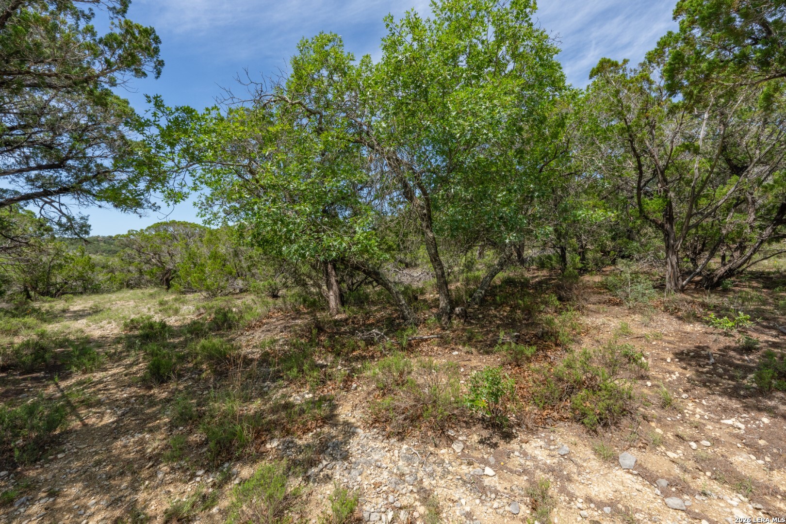 447 Blesssing Lane Utopia TX 78884