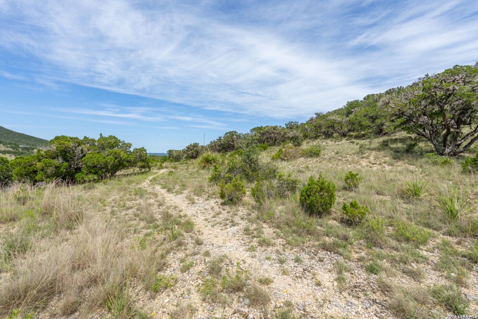 447 Blesssing Lane Utopia TX 78884