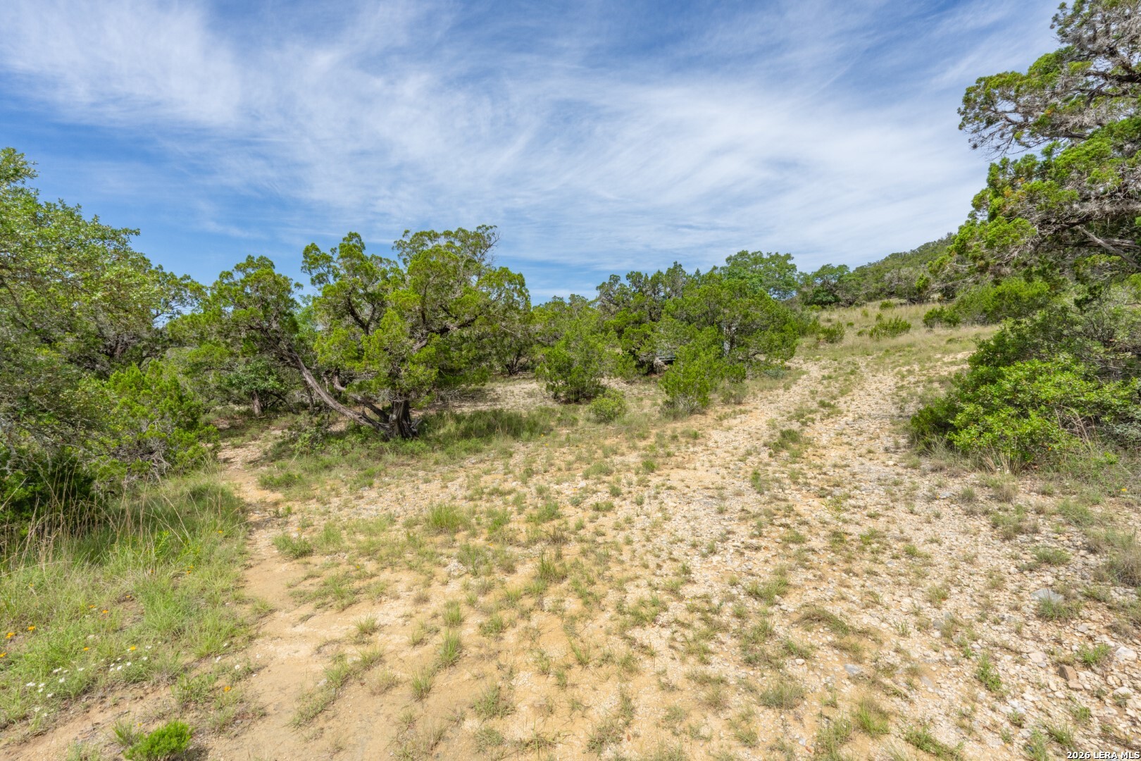 447 Blesssing Lane Utopia TX 78884