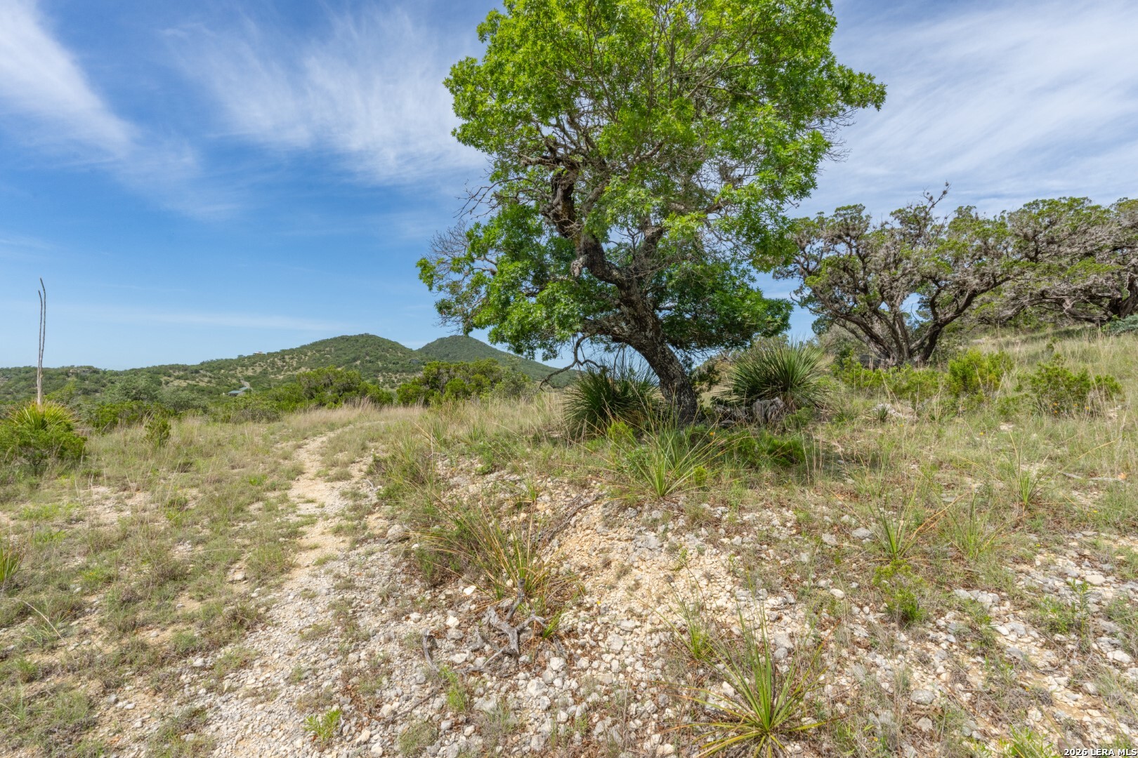 447 Blesssing Lane Utopia TX 78884