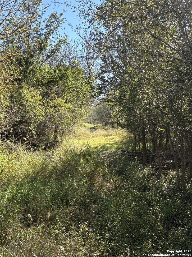0 Iuka Charlotte TX 78065