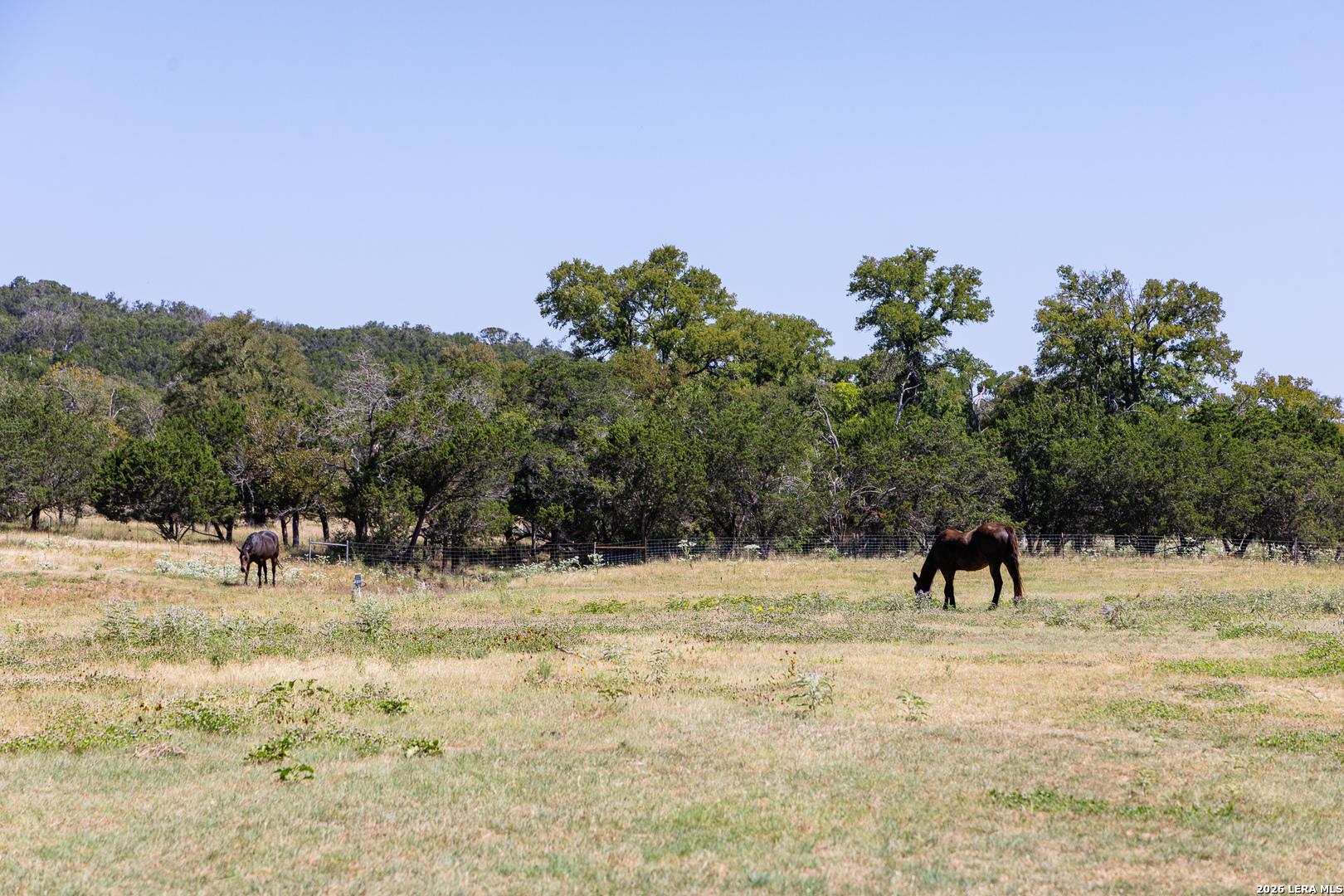 2954 Goat Creek Road Kerrville TX 78028