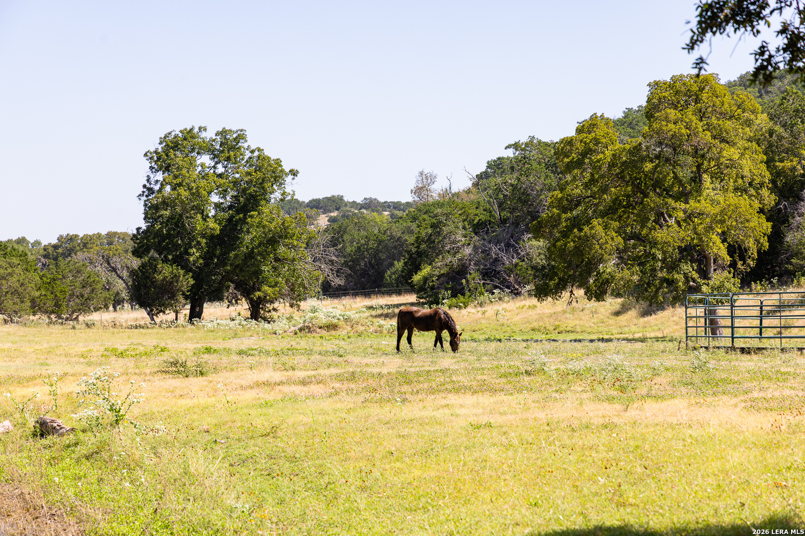 2954 Goat Creek Road Kerrville TX 78028
