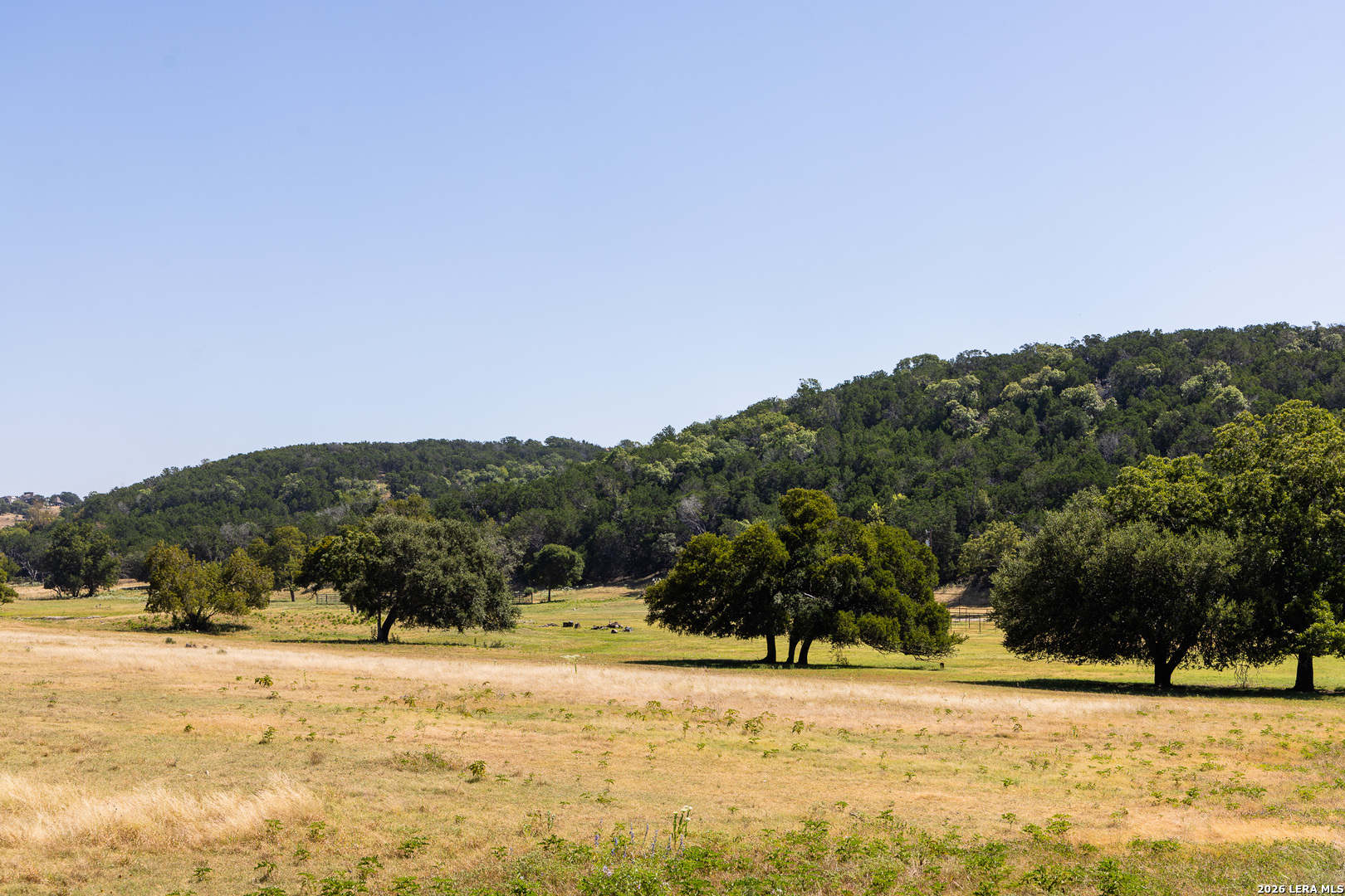2954 Goat Creek Road Kerrville TX 78028