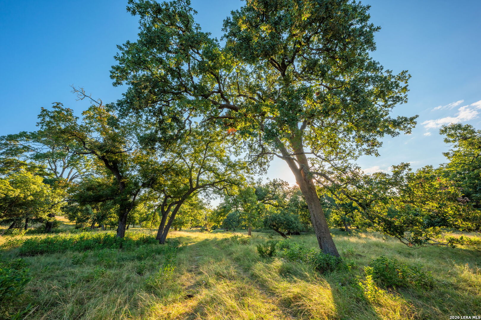 000 Pressler-henke Road Kerrville TX 78028