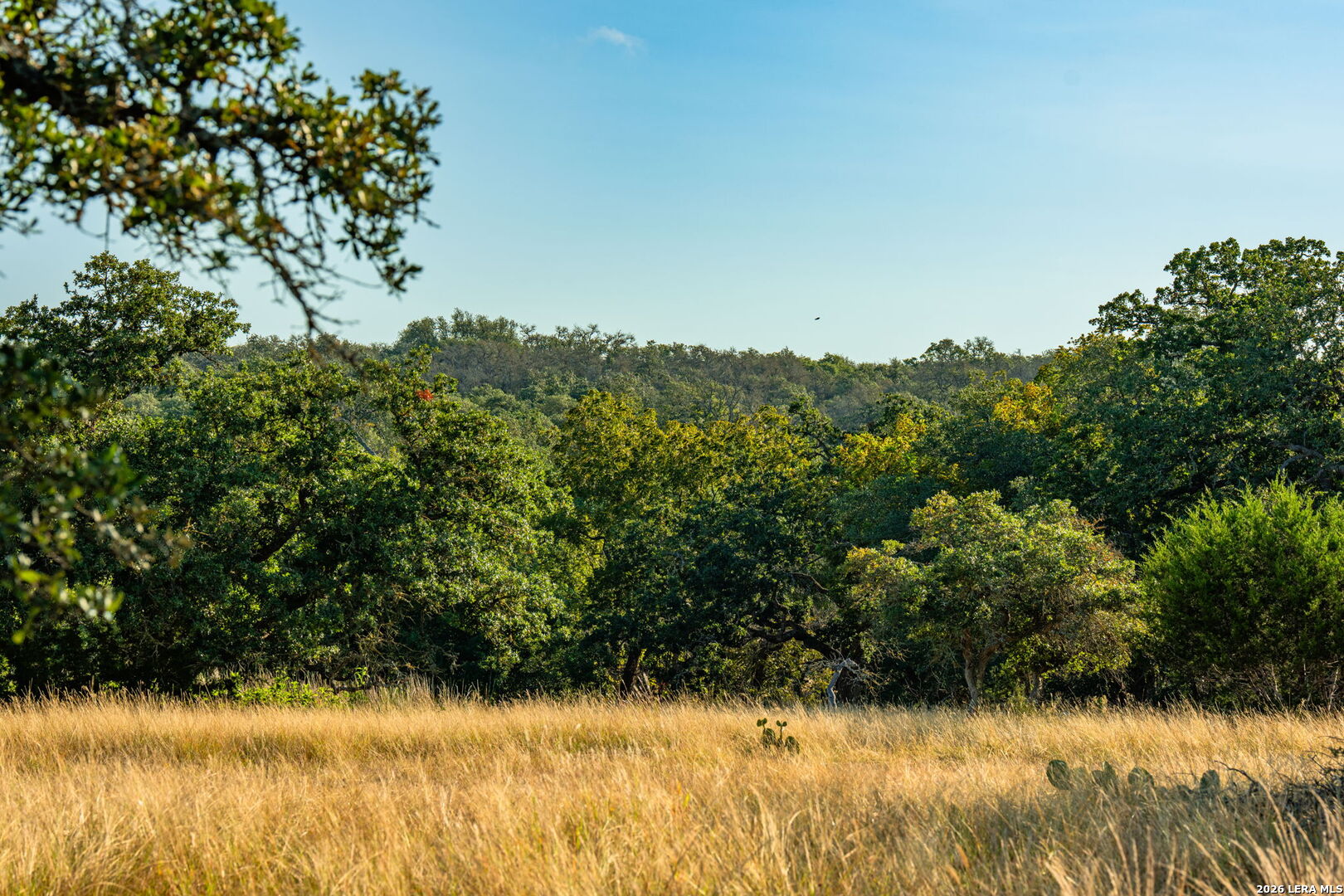 000 Pressler-henke Road Kerrville TX 78028