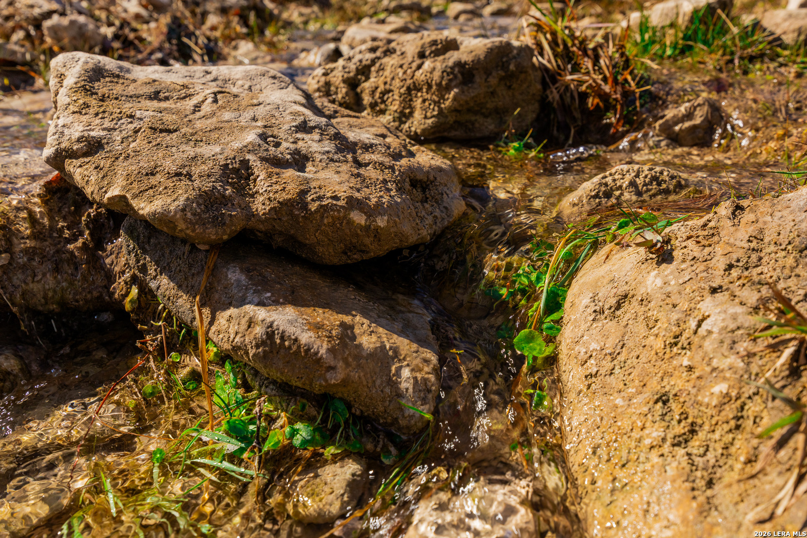 000 Pressler-henke Road Kerrville TX 78028