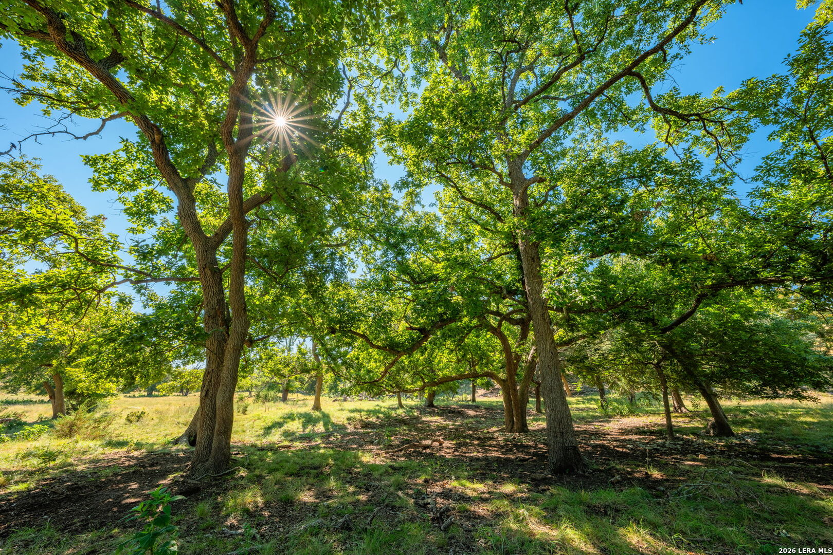 000 Pressler-henke Road Kerrville TX 78028