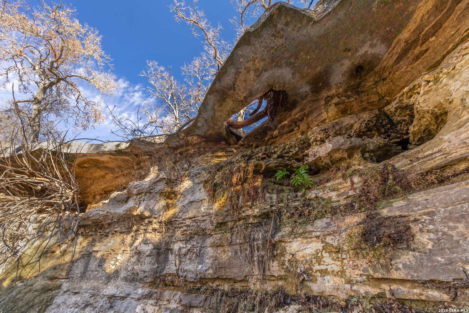 000 Pressler-henke Road Kerrville TX 78028