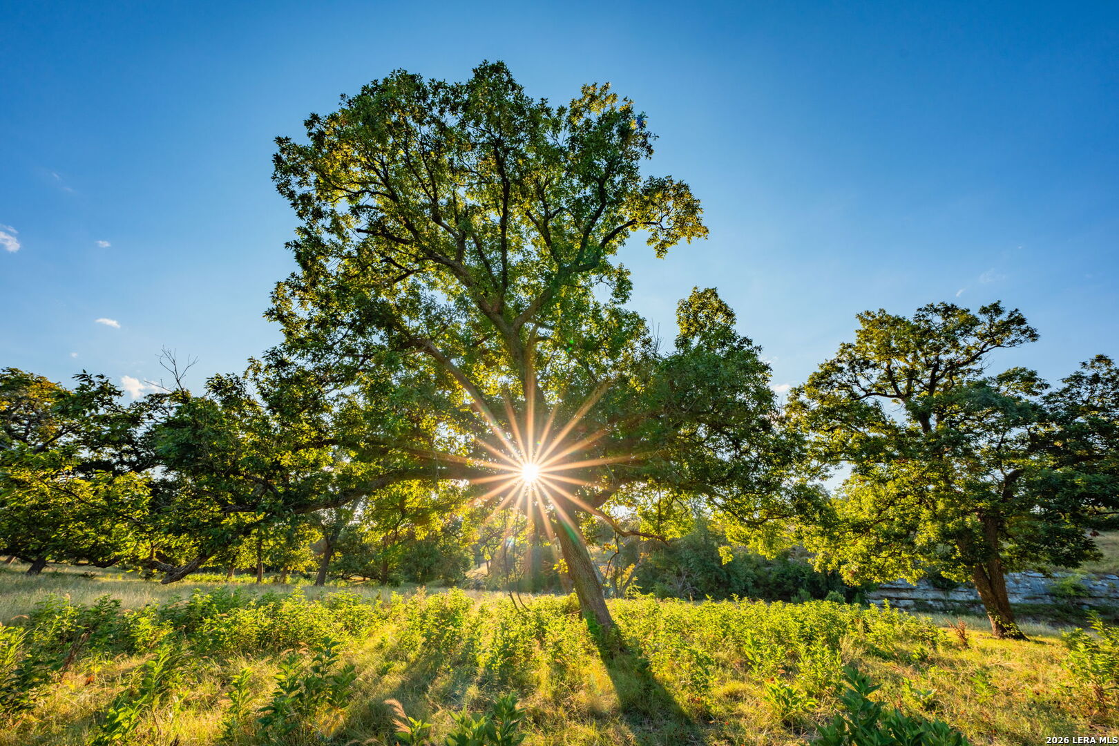 000 Pressler-henke Road Kerrville TX 78028