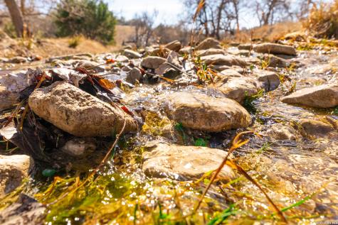 000 Pressler-henke Road Kerrville TX 78028