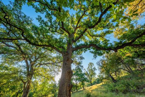 000 Pressler-henke Road Kerrville TX 78028