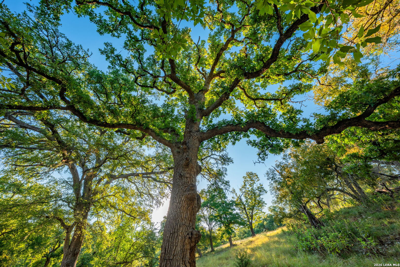 000 Pressler-henke Road Kerrville TX 78028