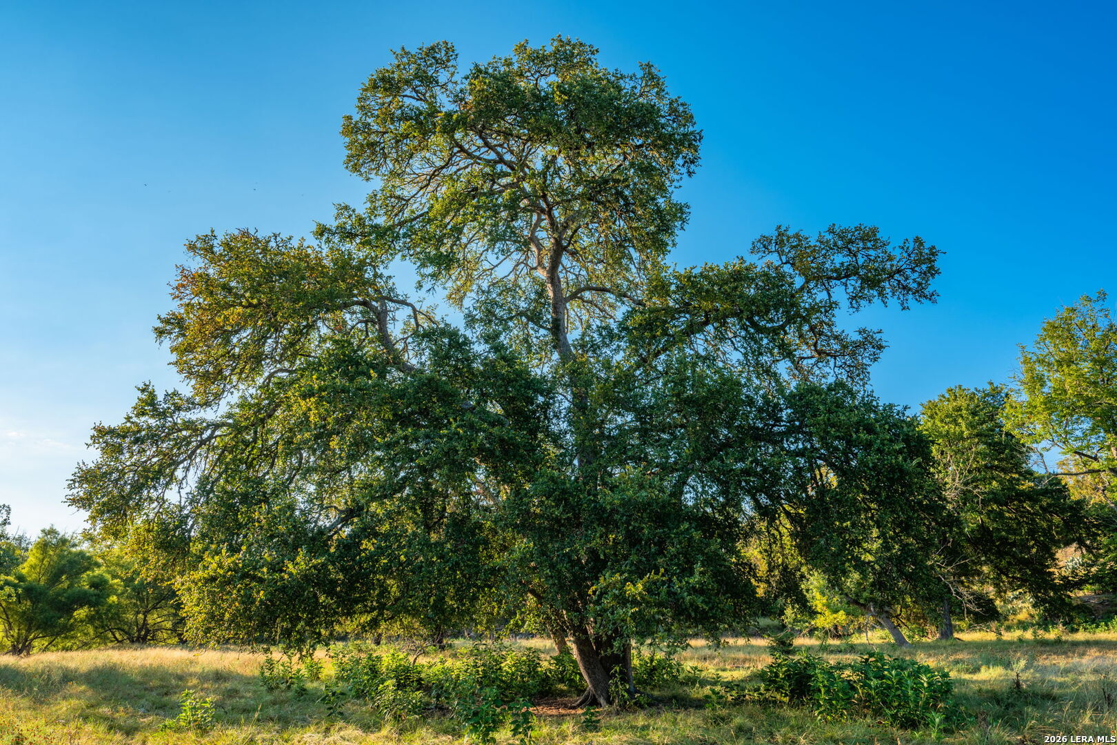 000 Pressler-henke Road Kerrville TX 78028