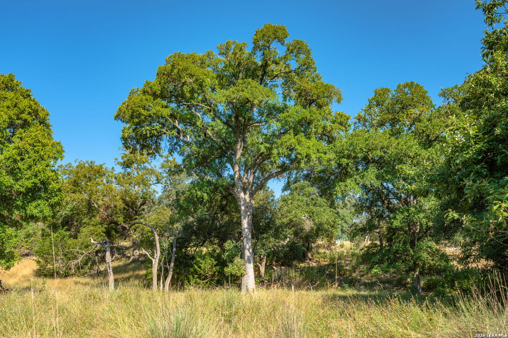 000 Pressler-henke Road Kerrville TX 78028