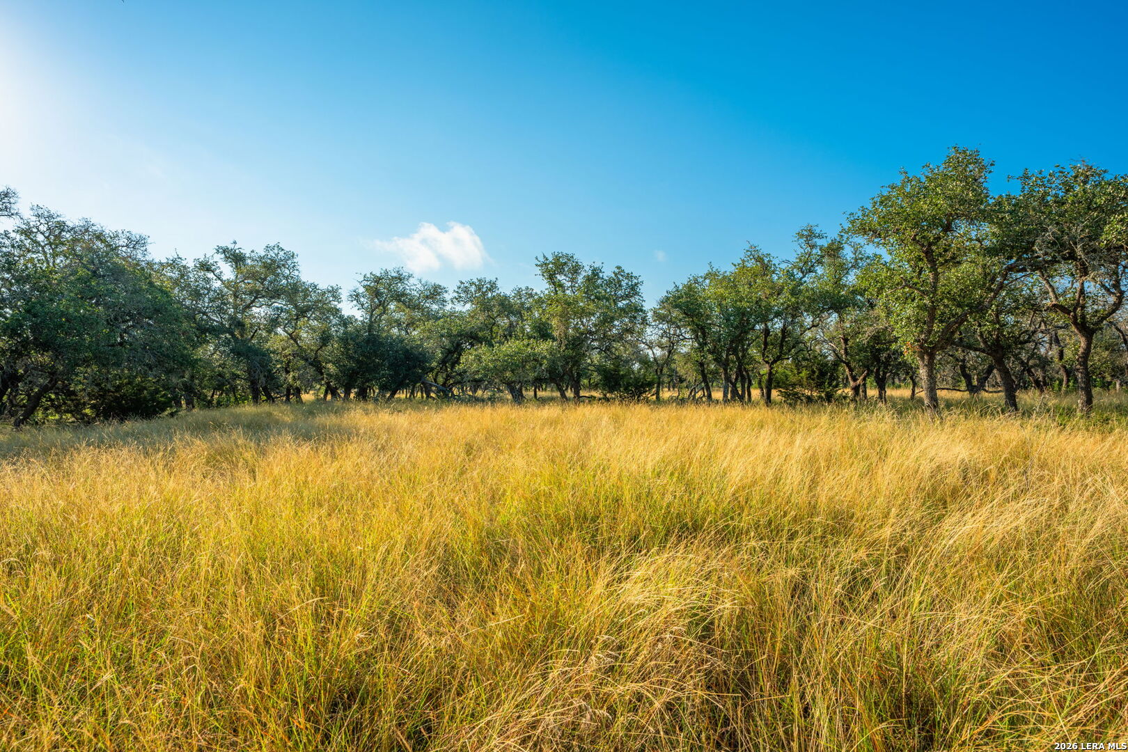 000 Pressler-henke Road Kerrville TX 78028