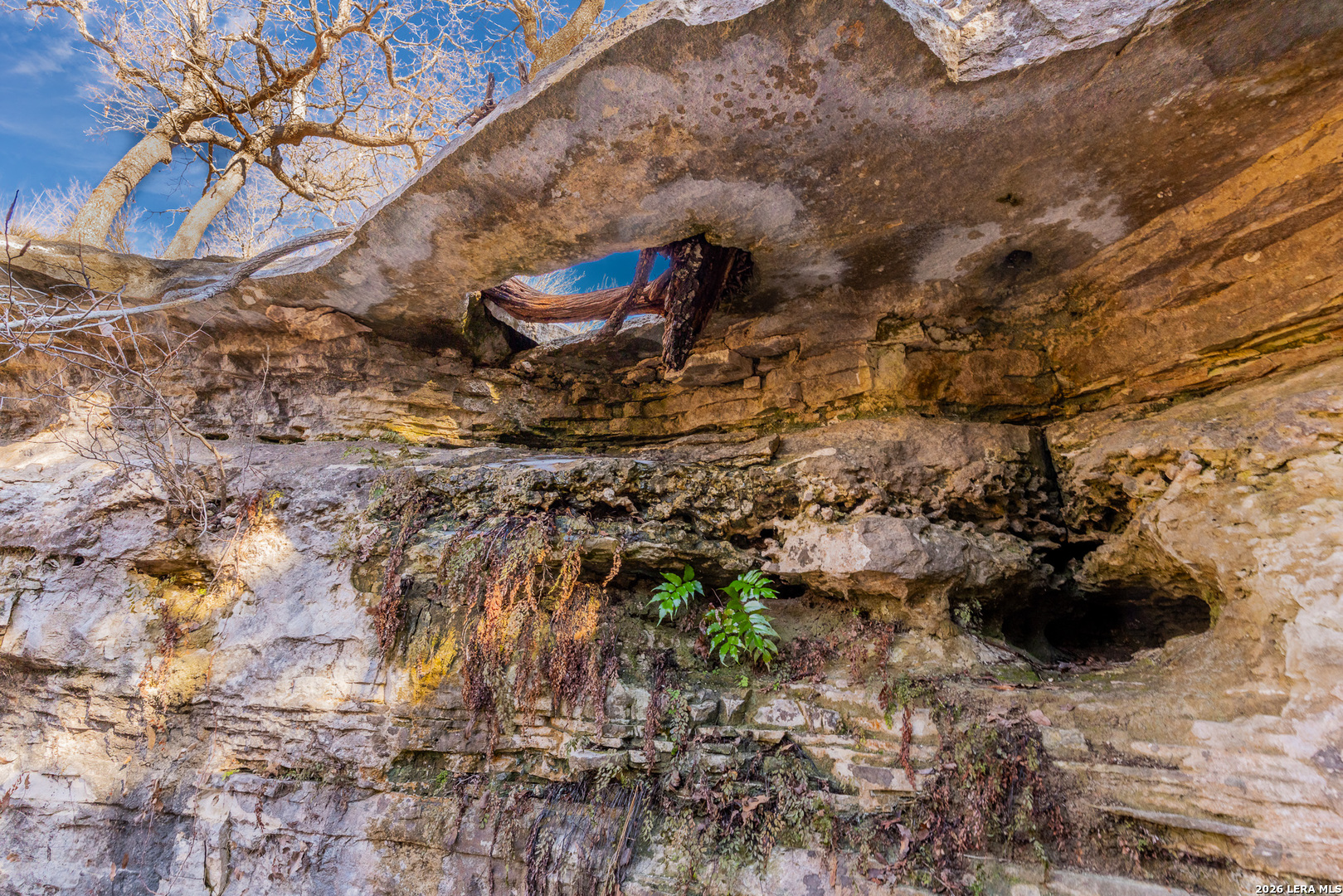 000 Pressler-henke Road Kerrville TX 78028