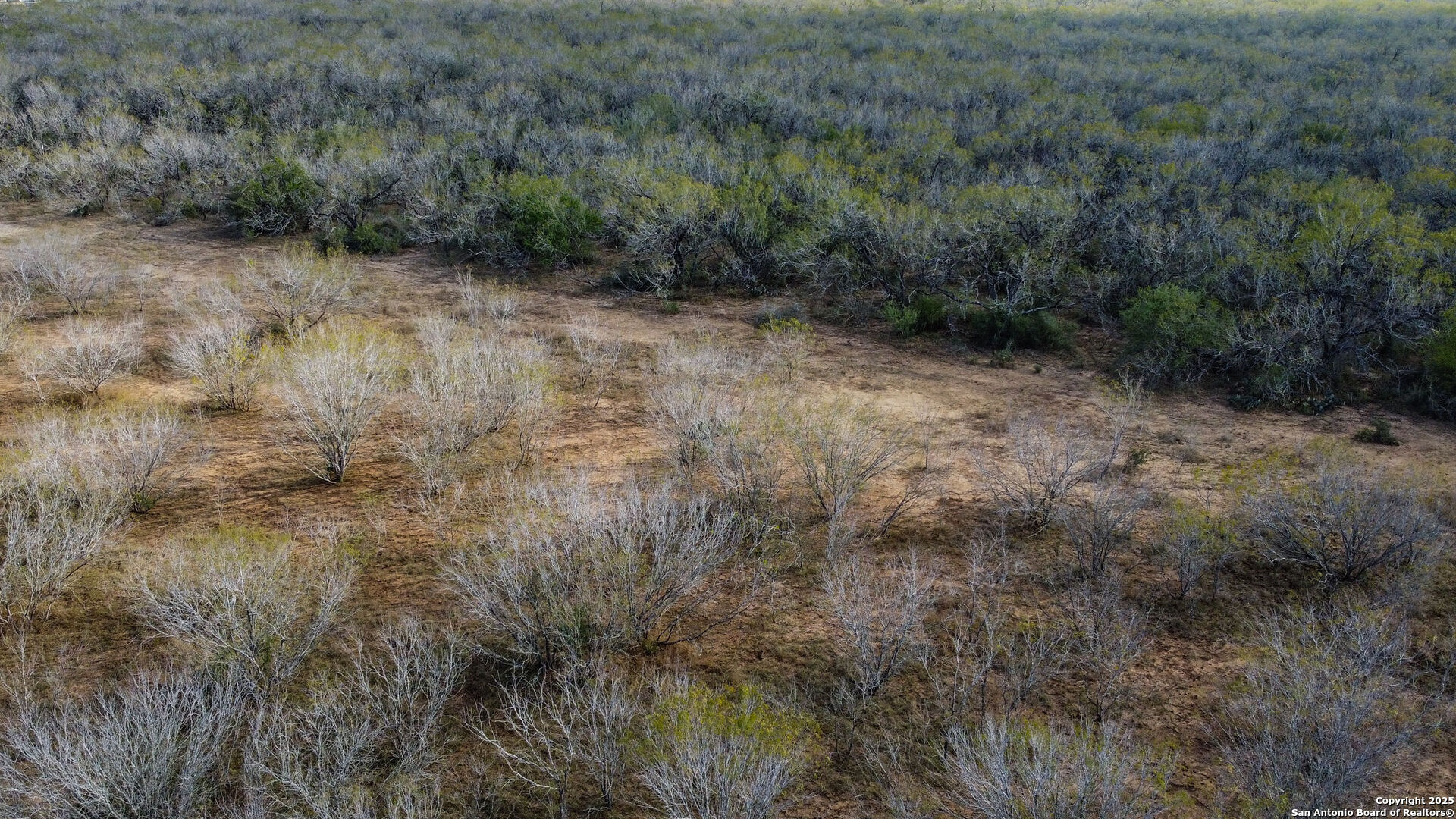 000 Gin Marion TX 78124