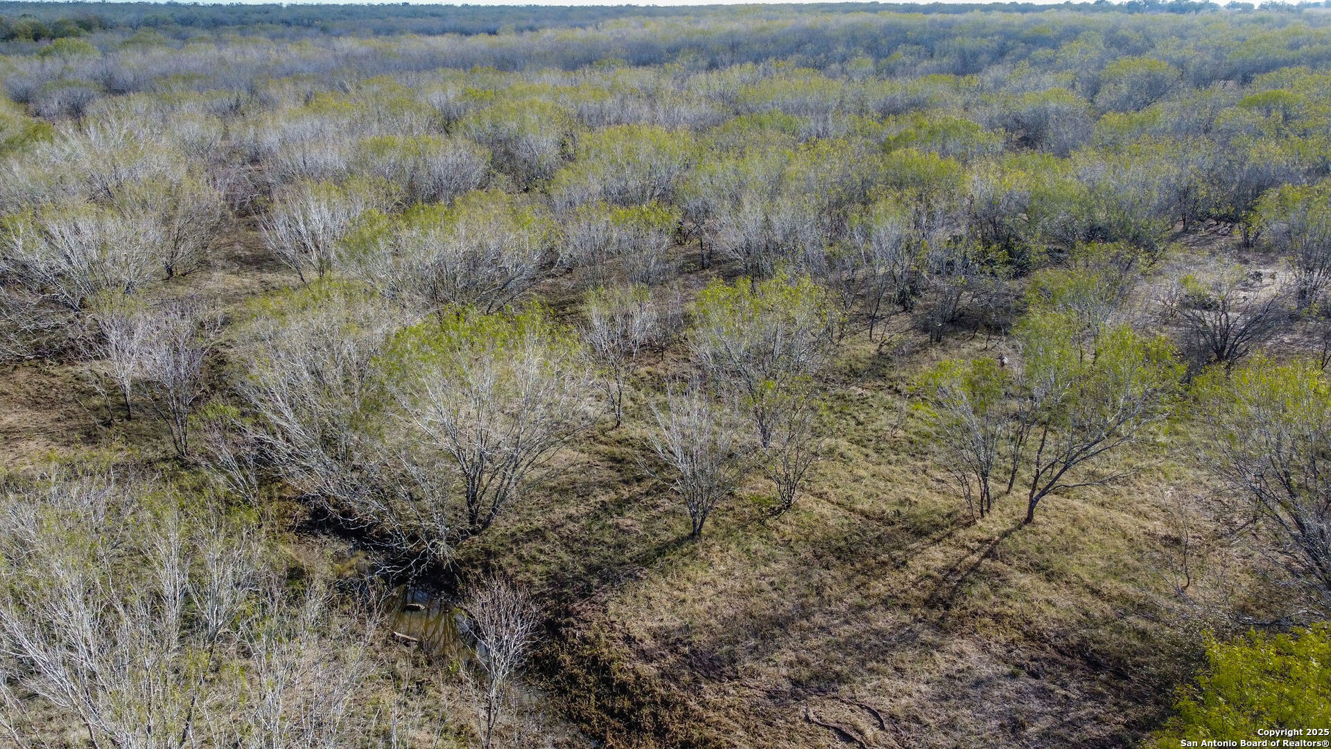 000 Gin Marion TX 78124