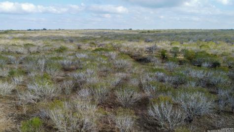 000 Gin Marion TX 78124