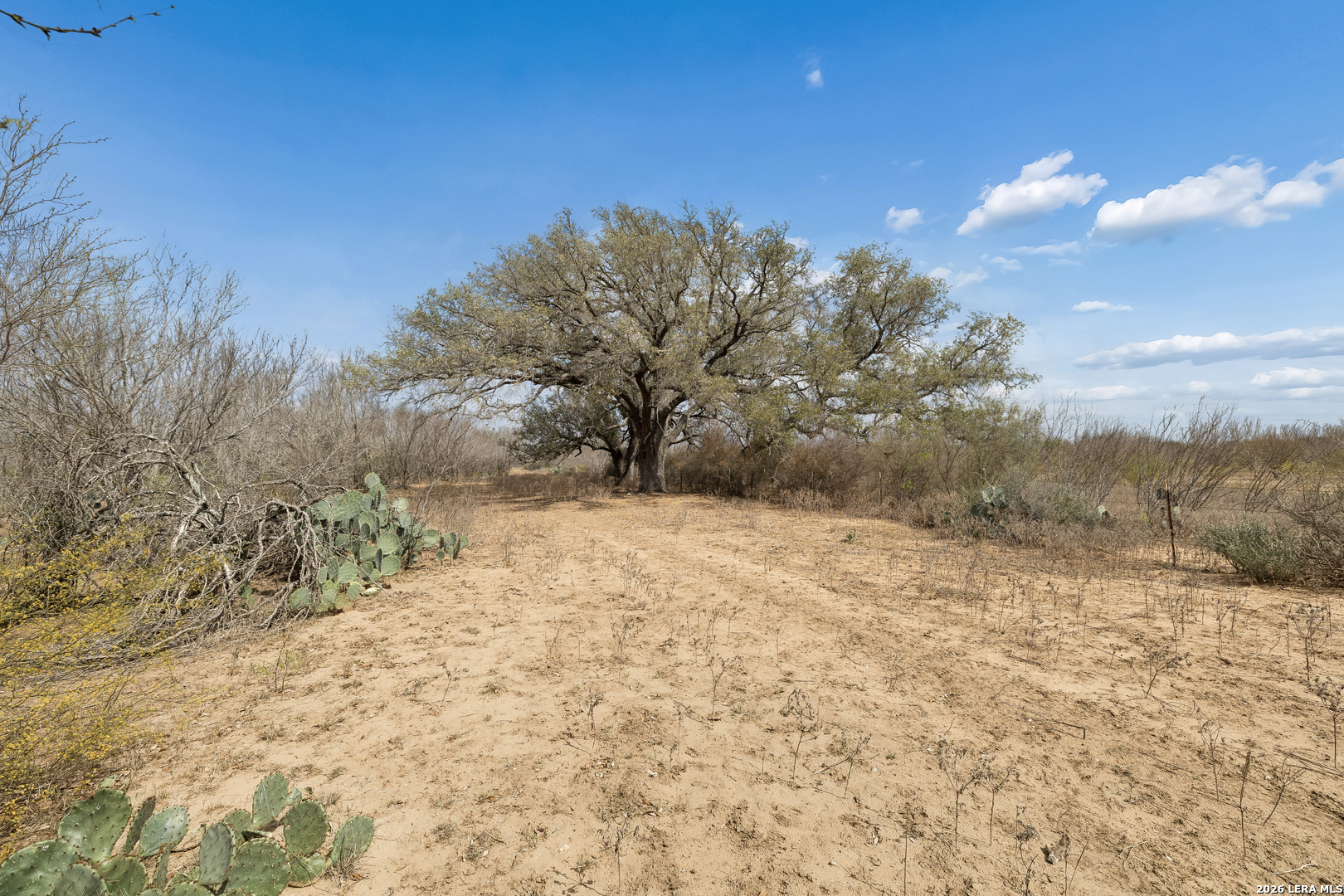 854 County Road 7421 Yancey TX 78886