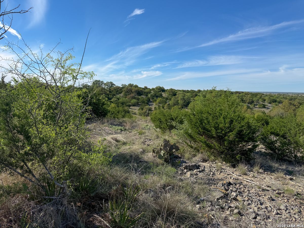 870 Rocky Top Road Soutwest Hunt TX 78024