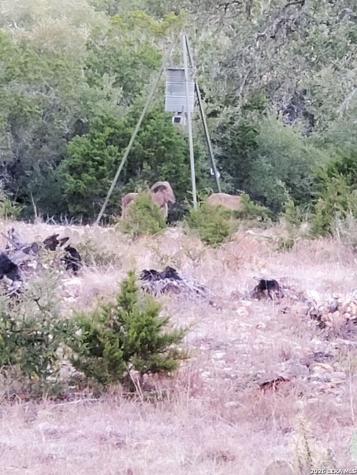 870 Rocky Top Road Soutwest Hunt TX 78024
