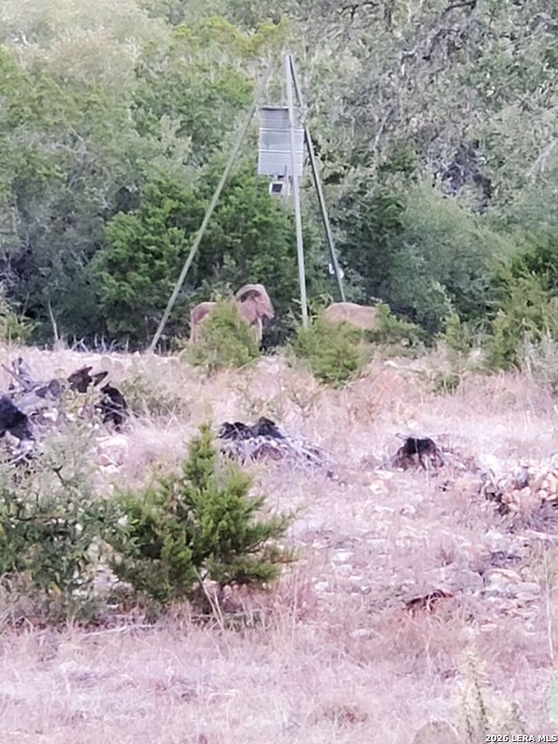 870 Rocky Top Road Soutwest Hunt TX 78024