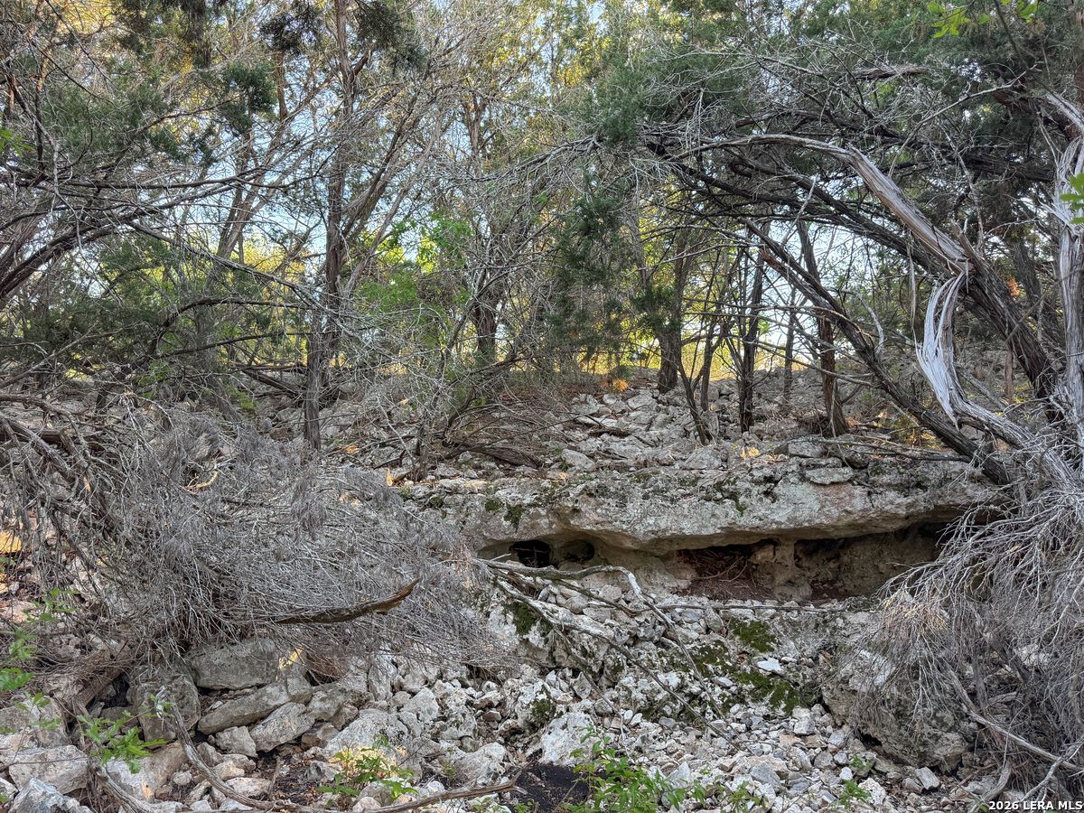 870 Rocky Top Road Soutwest Hunt TX 78024