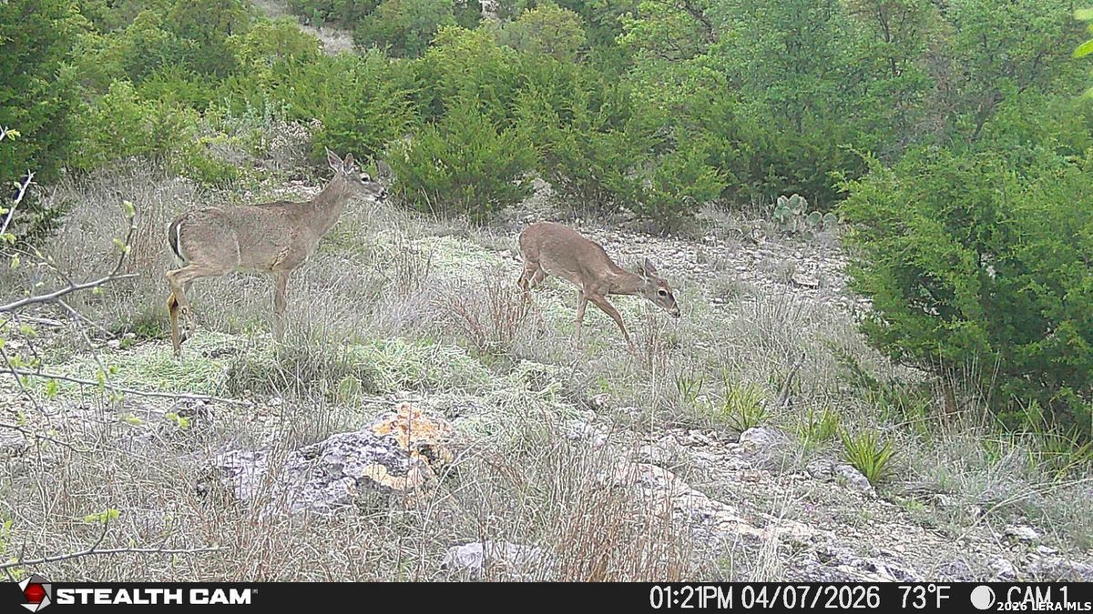 870 Rocky Top Road Soutwest Hunt TX 78024