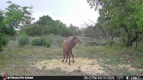 870 Rocky Top Road Soutwest Hunt TX 78024