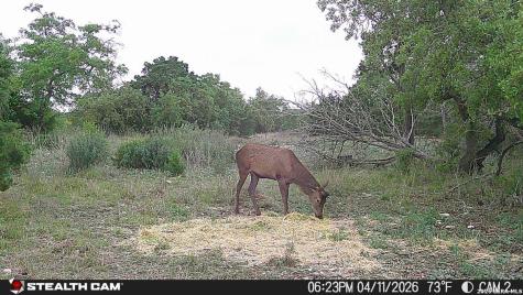 870 Rocky Top Road Soutwest Hunt TX 78024