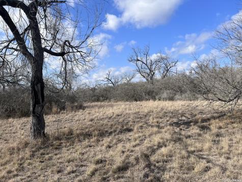 330 County Road 412 Three Rivers TX 78071