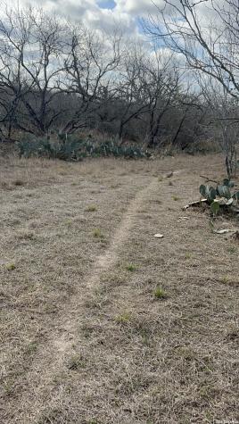 330 County Road 412 Three Rivers TX 78071