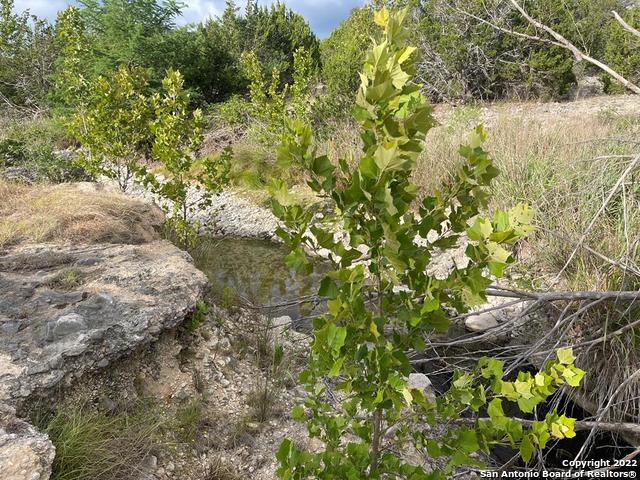 326 Rocky Creek Road Medina TX 78055