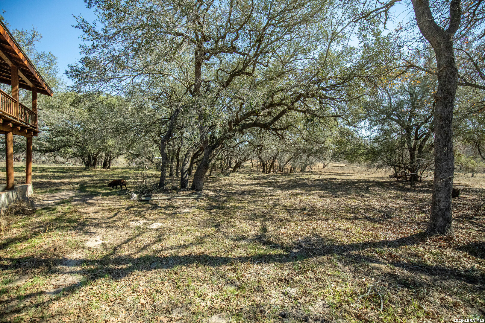 1387 County Road 304 Floresville TX 78114