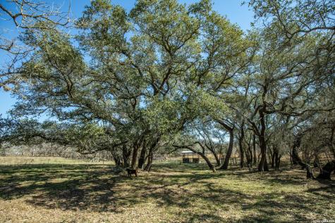 1387 County Road 304 Floresville TX 78114