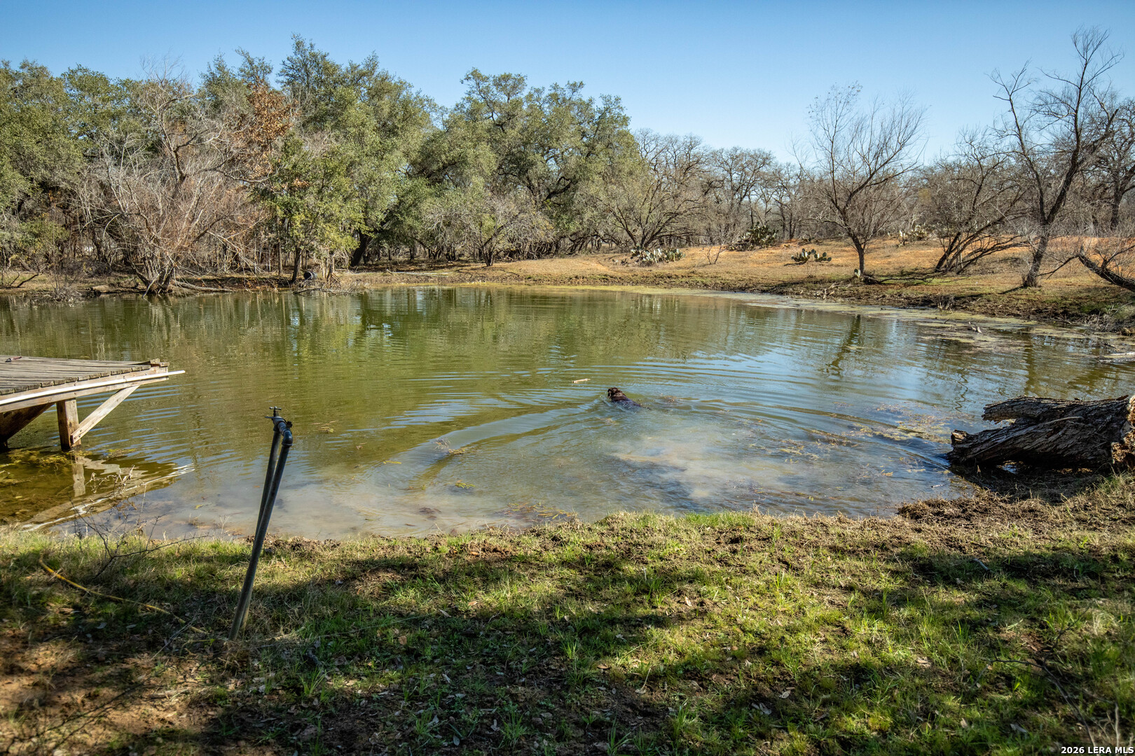 1387 County Road 304 Floresville TX 78114