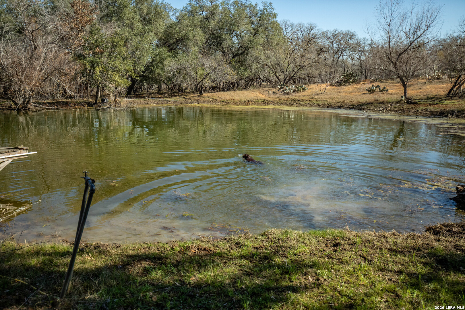 1387 County Road 304 Floresville TX 78114