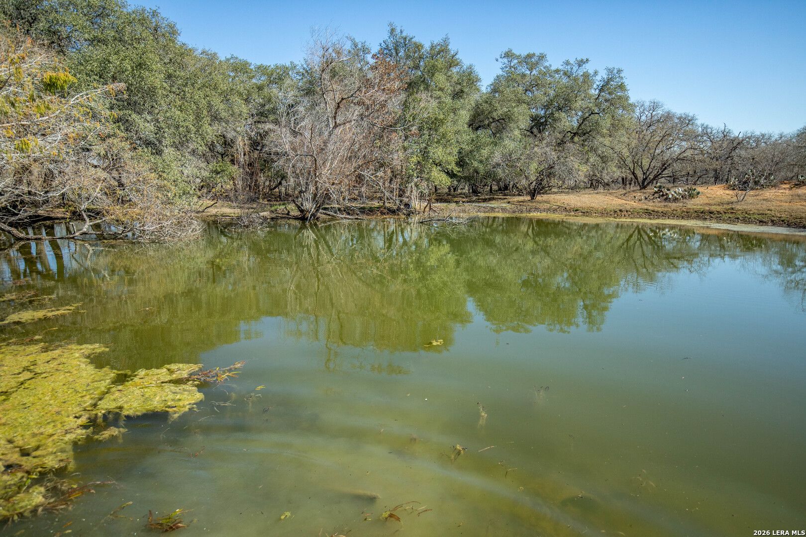 1387 County Road 304 Floresville TX 78114