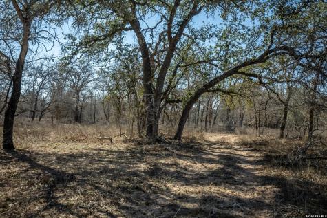 1387 County Road 304 Floresville TX 78114